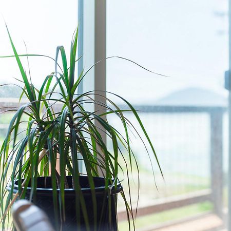 #Stayinmydistrict Oceanview Studio Loft Порт-Орфорд Екстер'єр фото